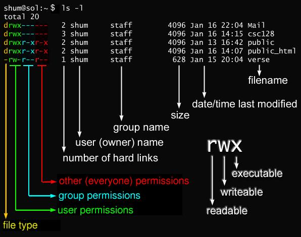 File Permissions